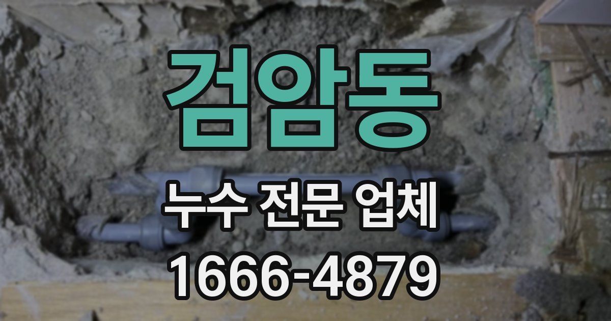 검암동 누수 전문 업체