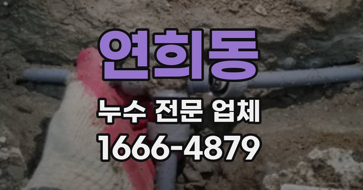 연희동 누수 전문 업체