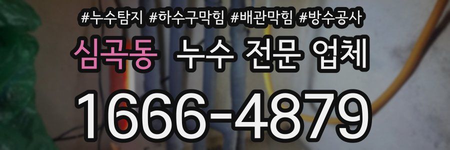심곡동 누수 전문 업체
