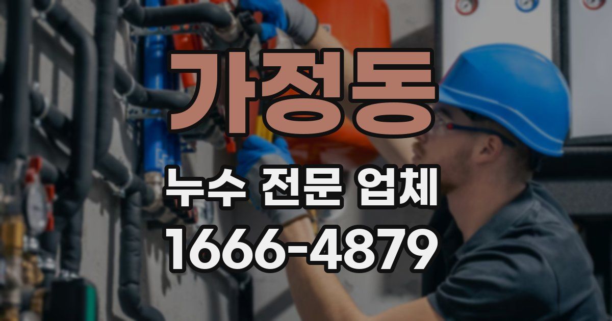 가정동 누수 전문 업체