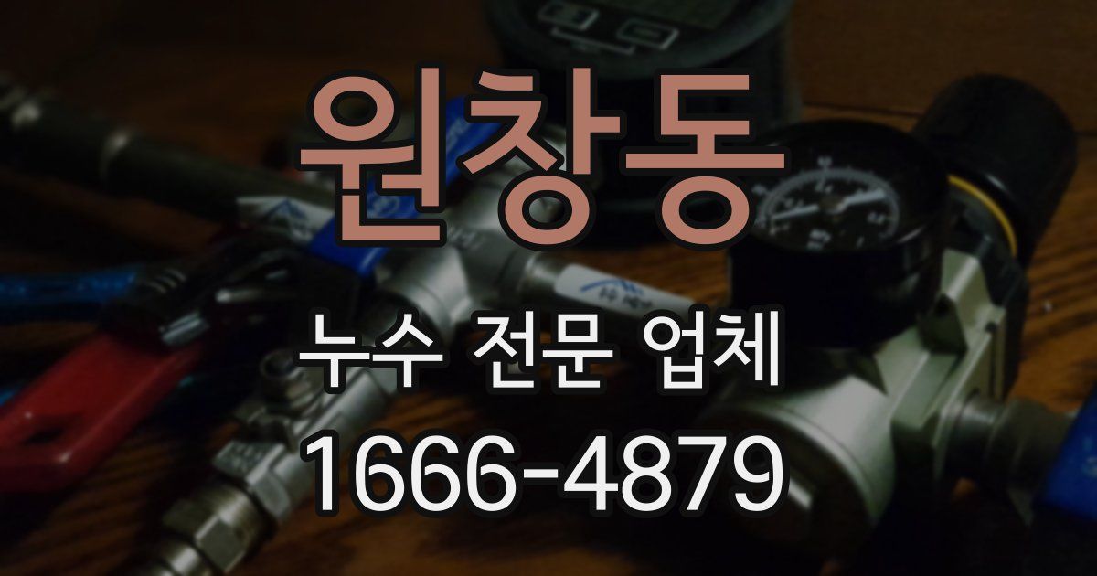 원창동 누수 전문 업체