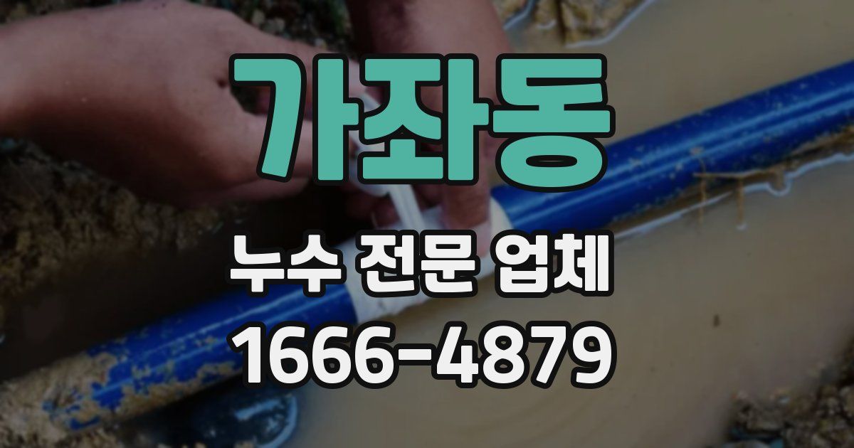 가좌동 누수 전문 업체