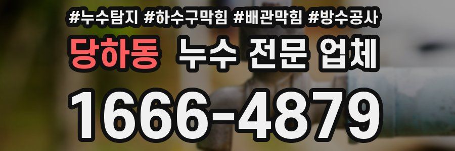 당하동 누수 전문 업체