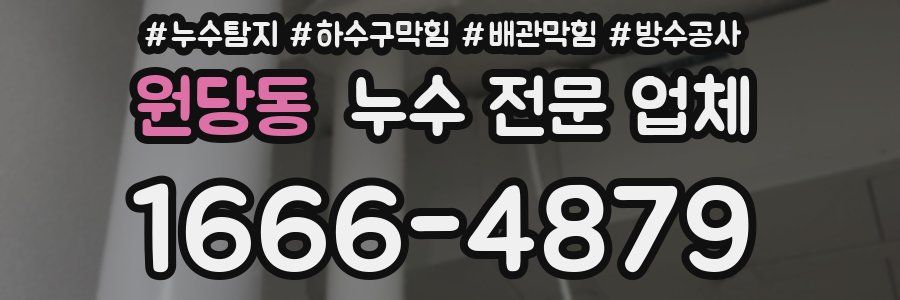 원당동 누수 전문 업체