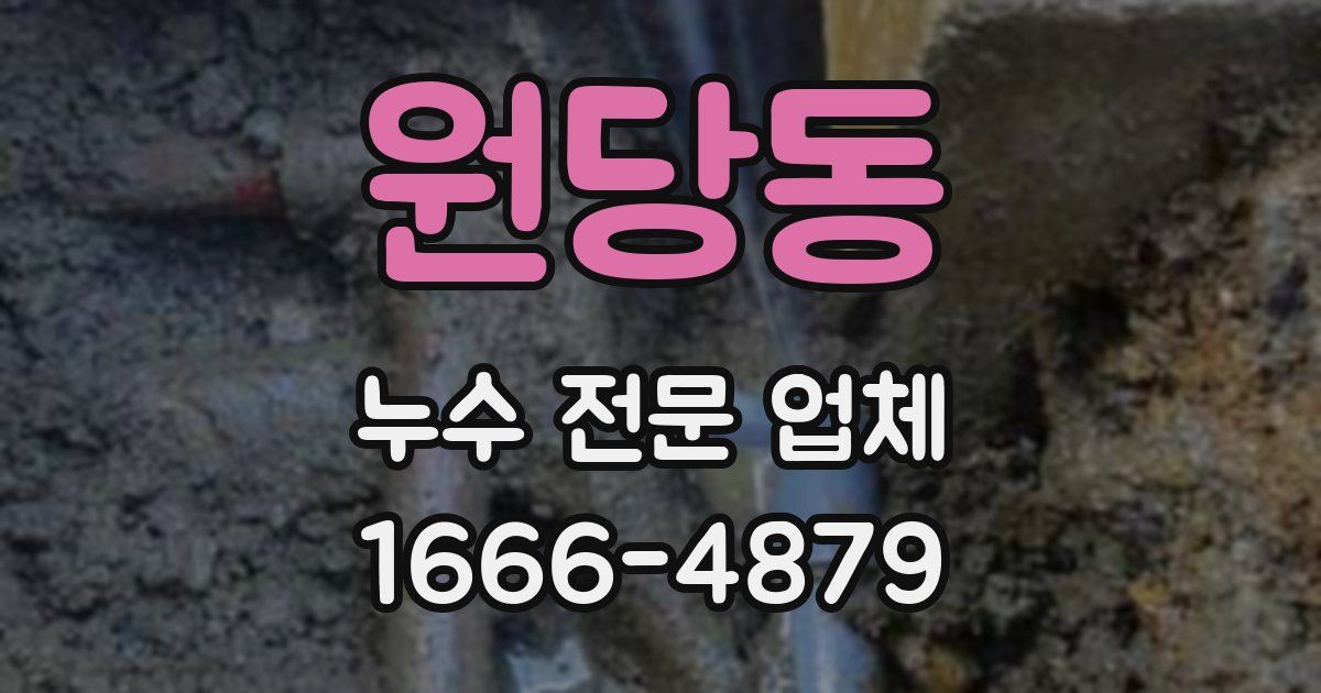 원당동 누수 전문 업체