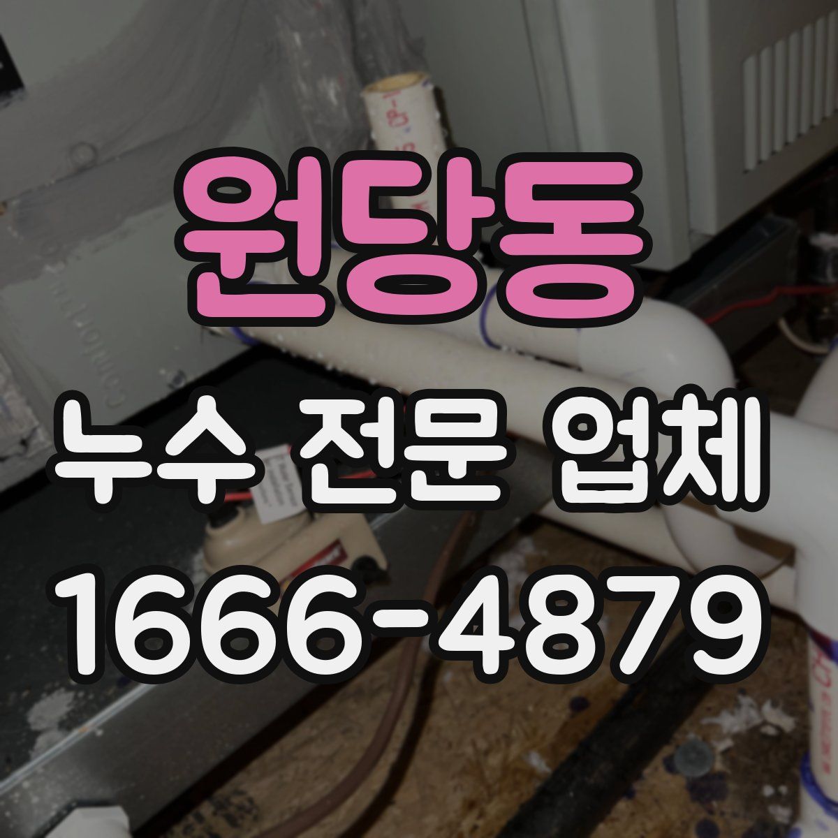 원당동 누수 전문 업체