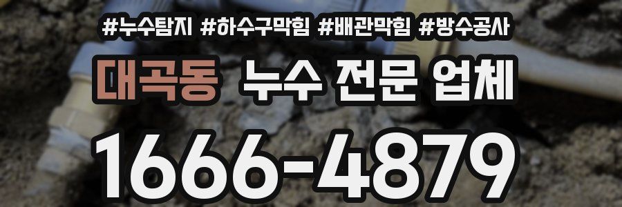 대곡동 누수 전문 업체