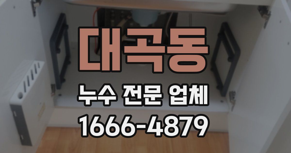 대곡동 누수 전문 업체