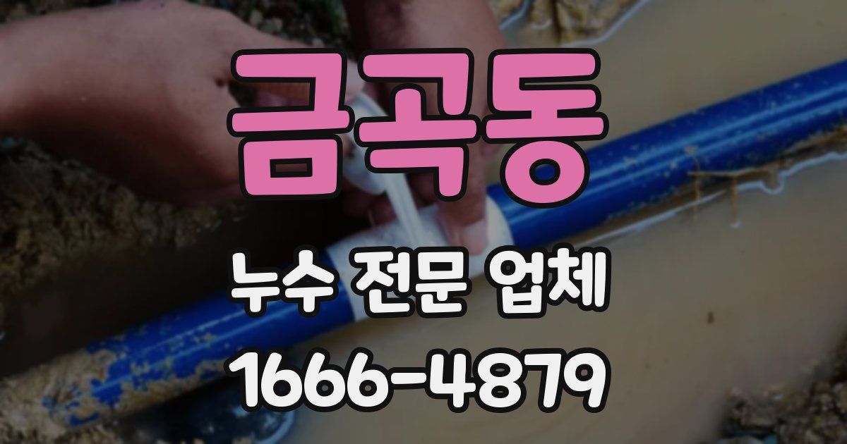 금곡동 누수 전문 업체