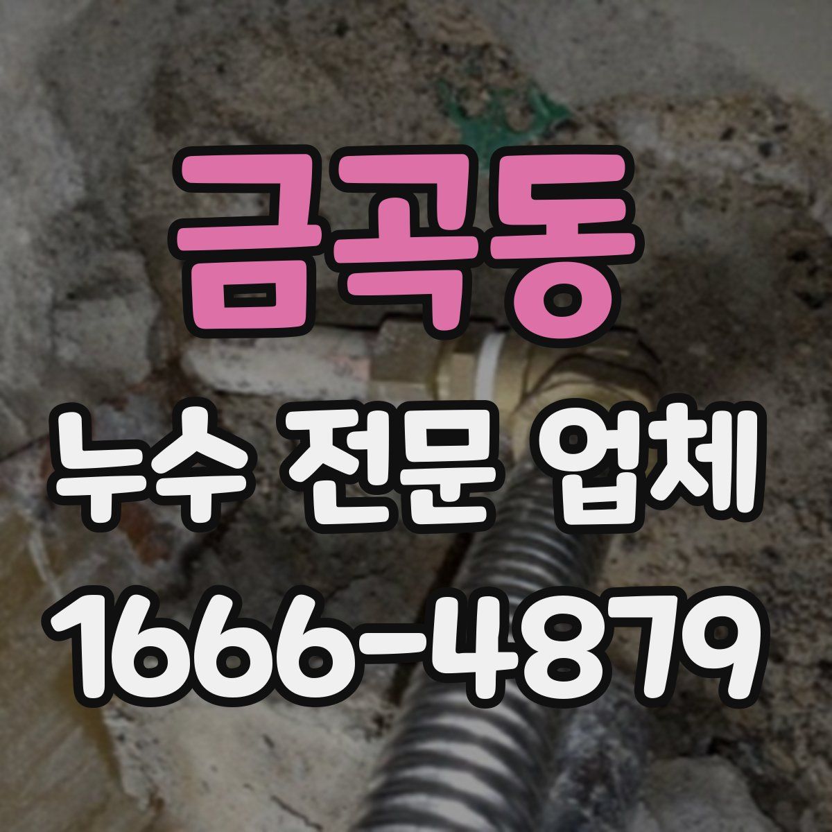 금곡동 누수 전문 업체