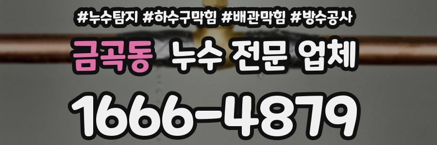 금곡동 누수 전문 업체