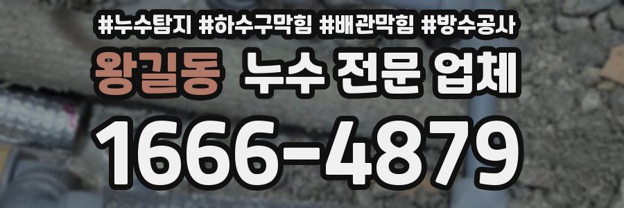 왕길동 누수 전문 업체