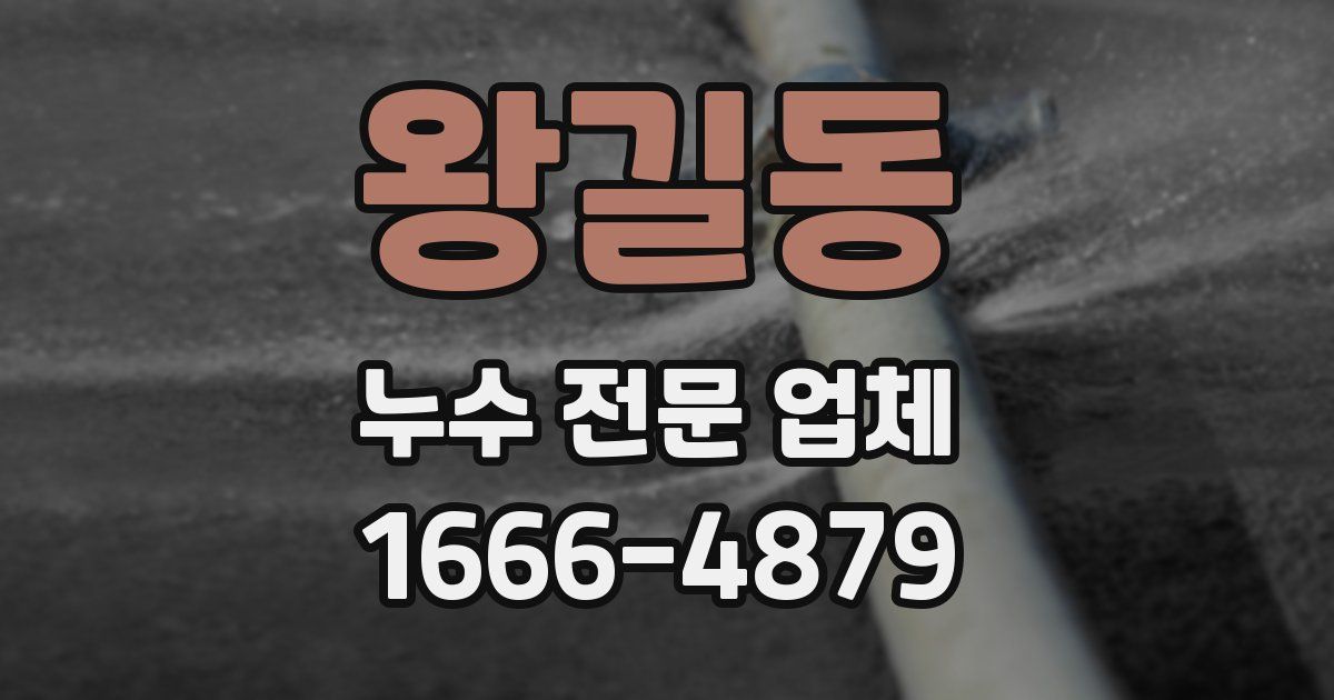 왕길동 누수 전문 업체
