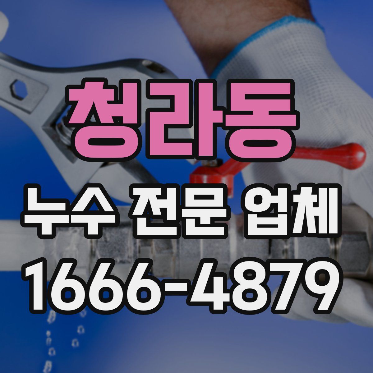 청라동 누수 전문 업체
