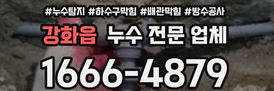 강화읍 누수 전문 업체