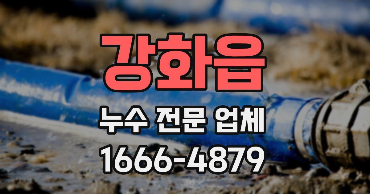 강화읍 누수 전문 업체
