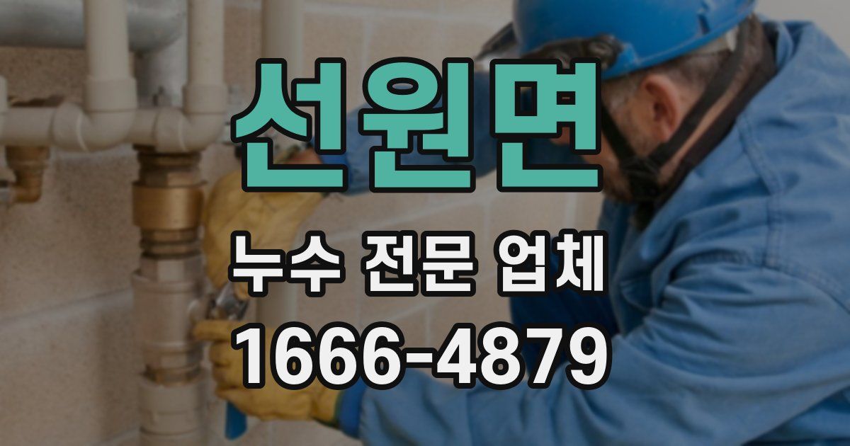 선원면 누수 전문 업체