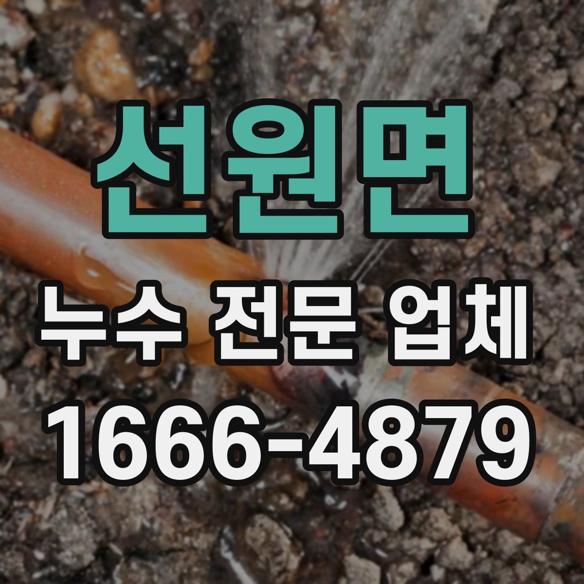선원면 누수 전문 업체