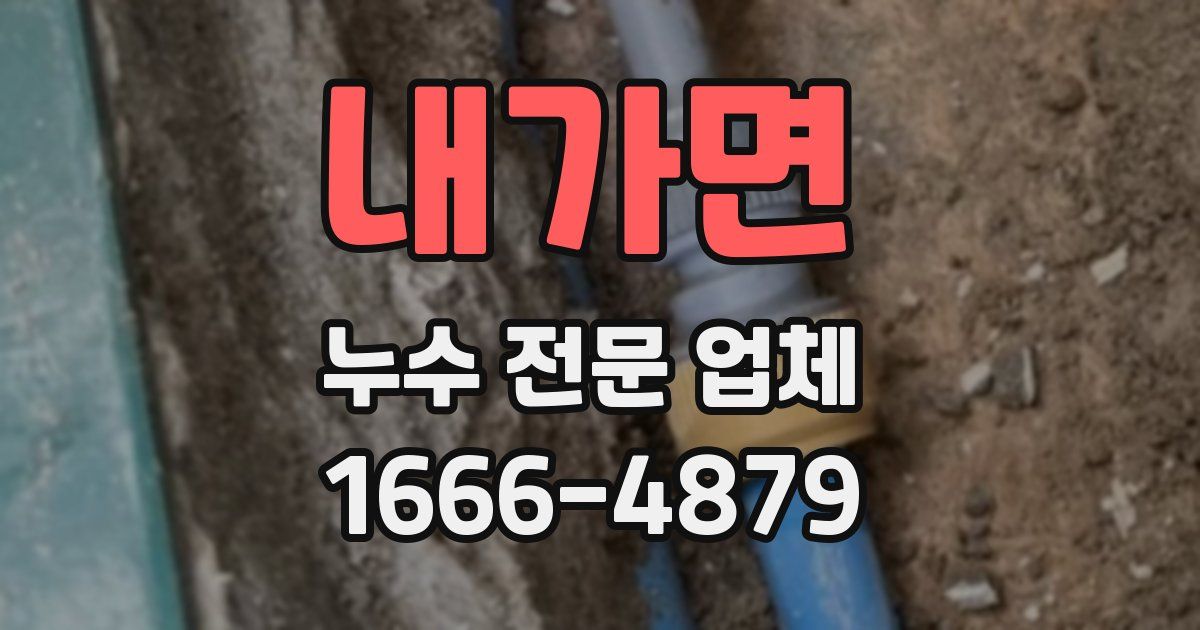 내가면 누수 전문 업체