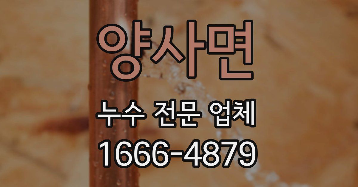 양사면 누수 전문 업체