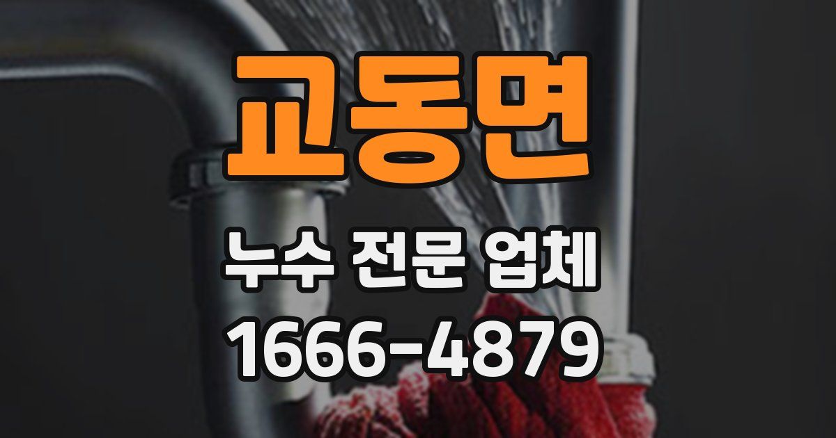 교동면 누수 전문 업체
