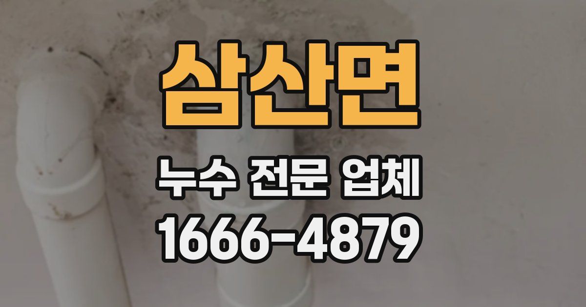 삼산면 누수 전문 업체