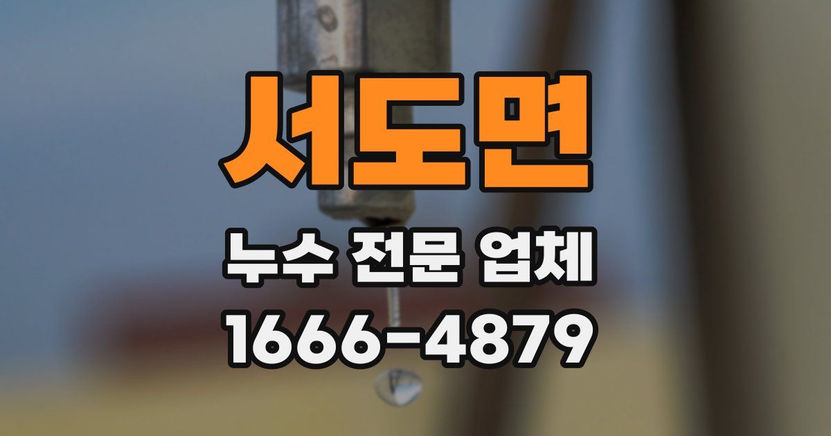 서도면 누수 전문 업체