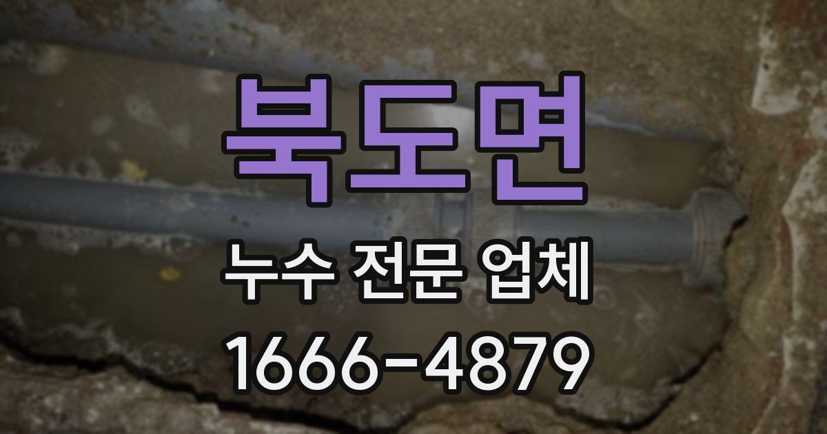 북도면 누수 전문 업체