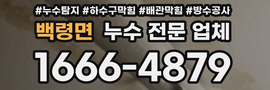백령면 누수 전문 업체