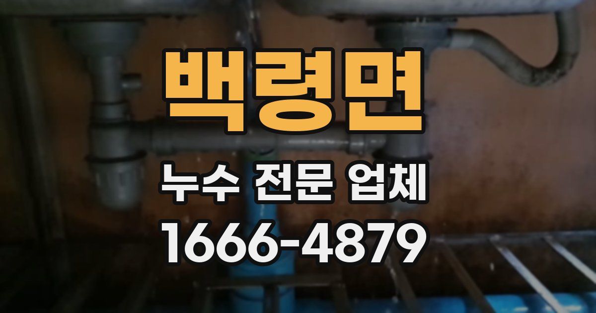 백령면 누수 전문 업체
