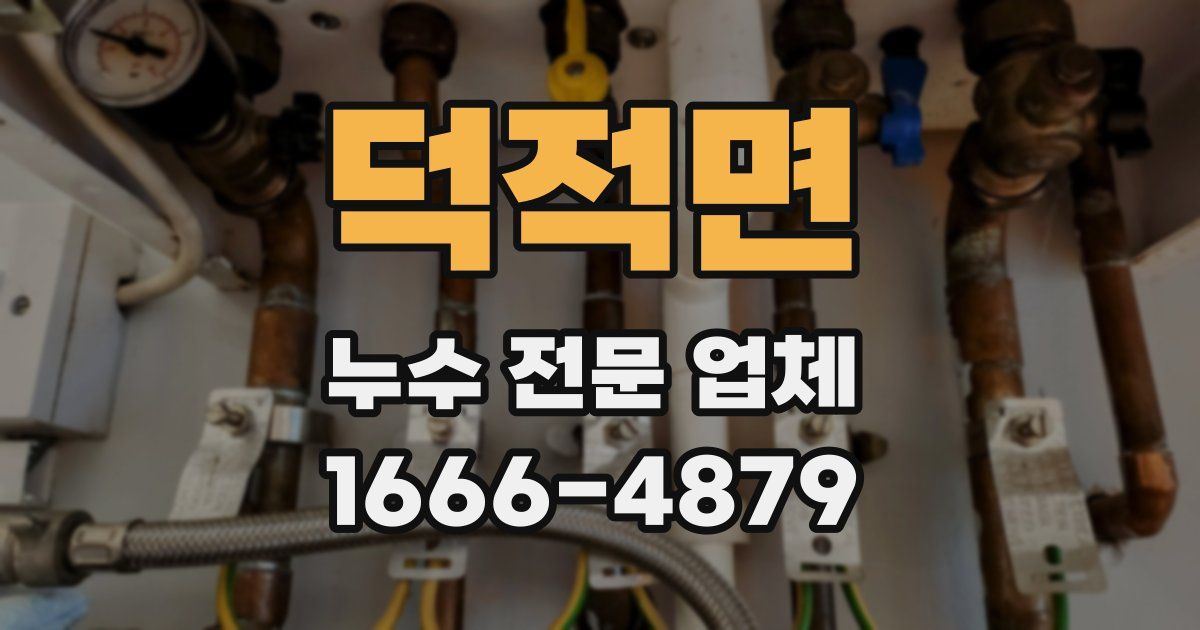 덕적면 누수 전문 업체