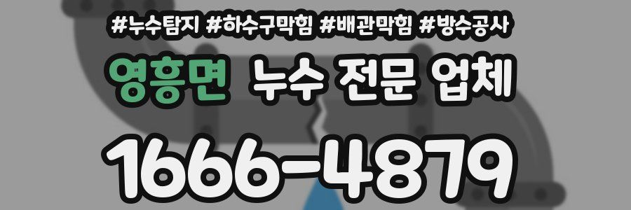 영흥면 누수 전문 업체