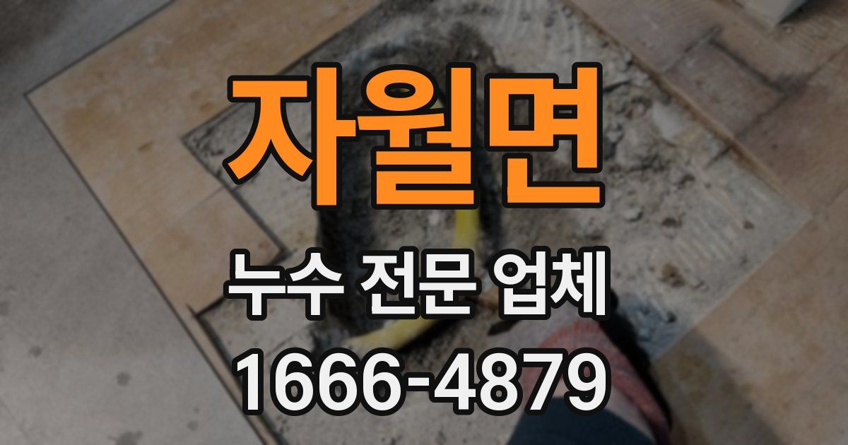 자월면 누수 전문 업체