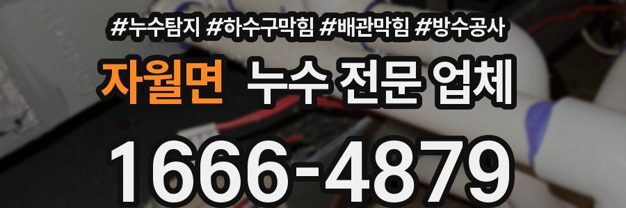 자월면 누수 전문 업체