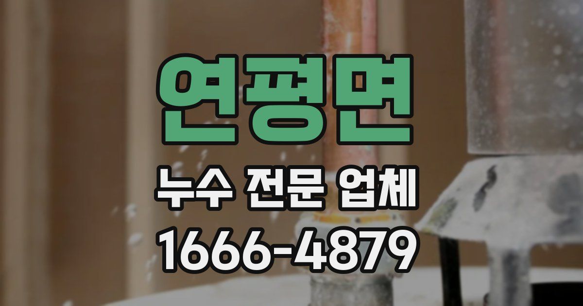 연평면 누수 전문 업체