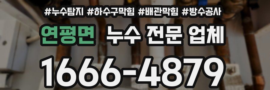 연평면 누수 전문 업체