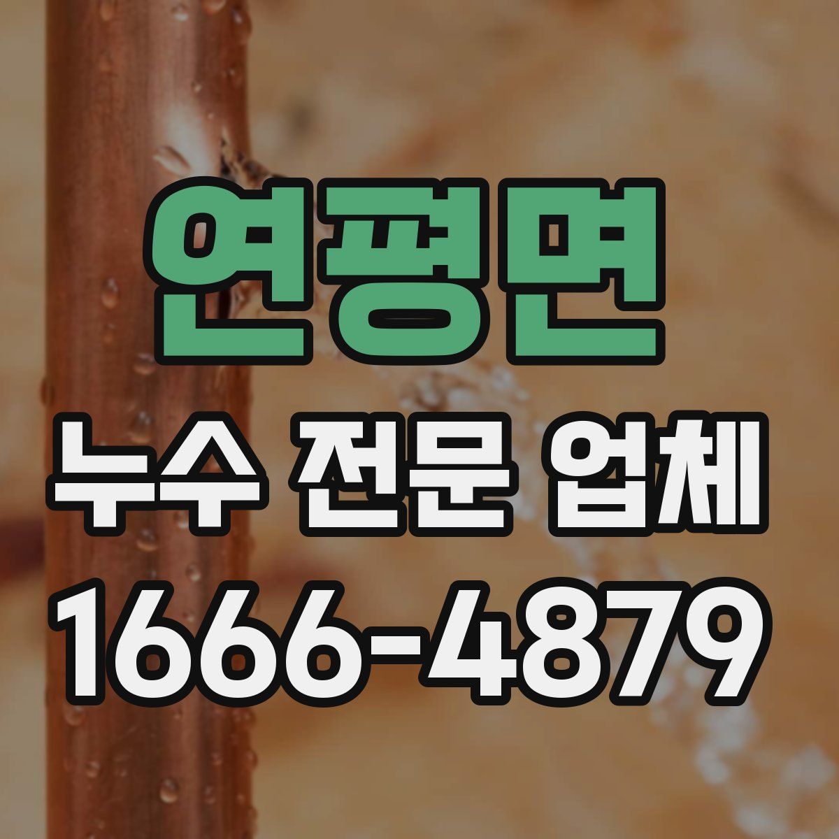 연평면 누수 전문 업체