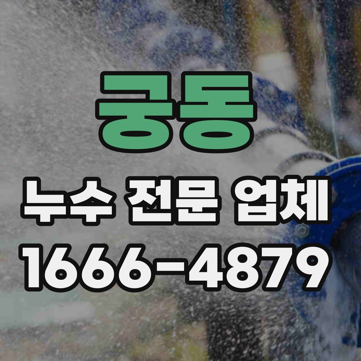 궁동 누수 전문 업체