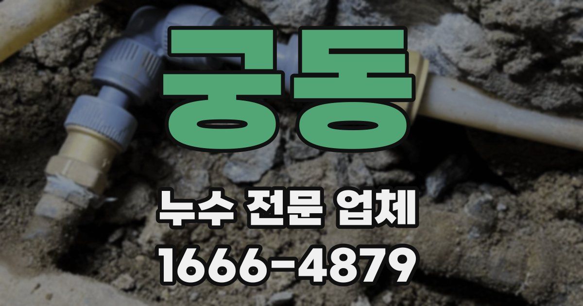 궁동 누수 전문 업체