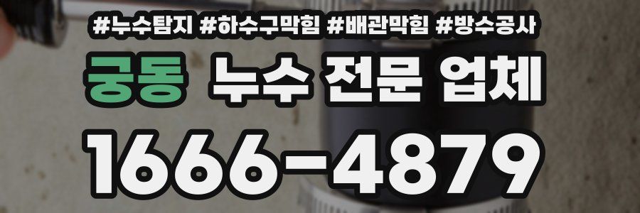 궁동 누수 전문 업체