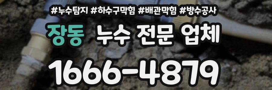 장동 누수 전문 업체