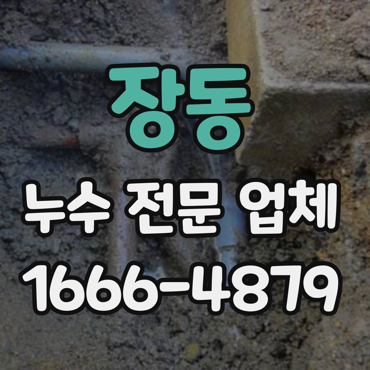 장동 누수 전문 업체