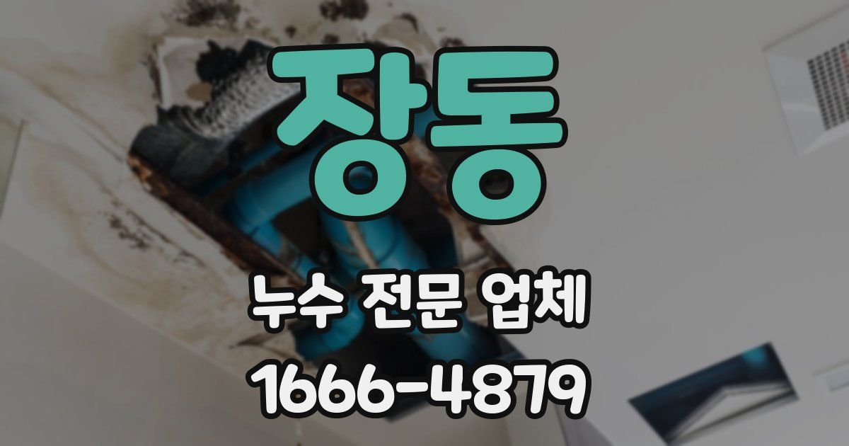 장동 누수 전문 업체