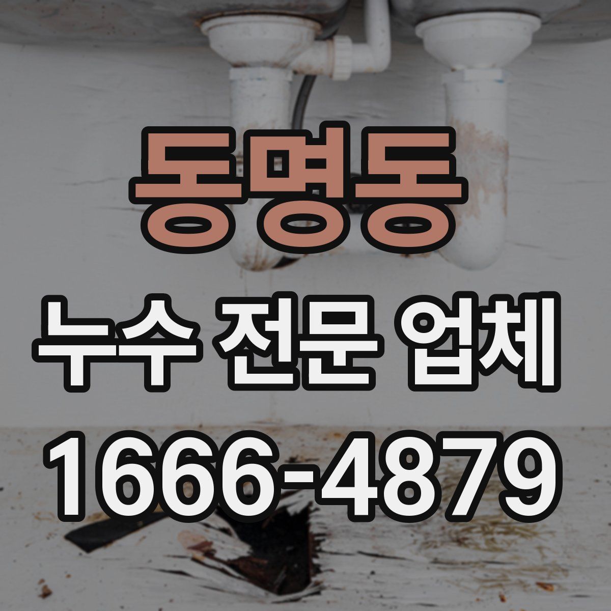 동명동 누수 전문 업체