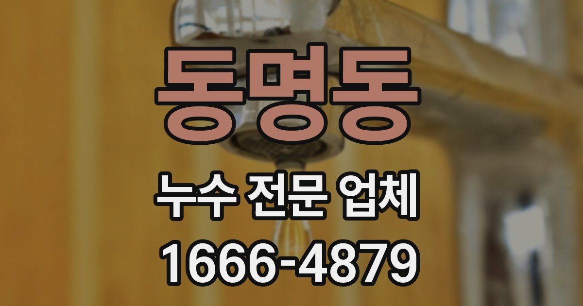 동명동 누수 전문 업체