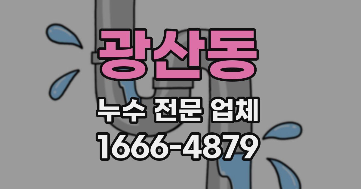 광산동 누수 전문 업체