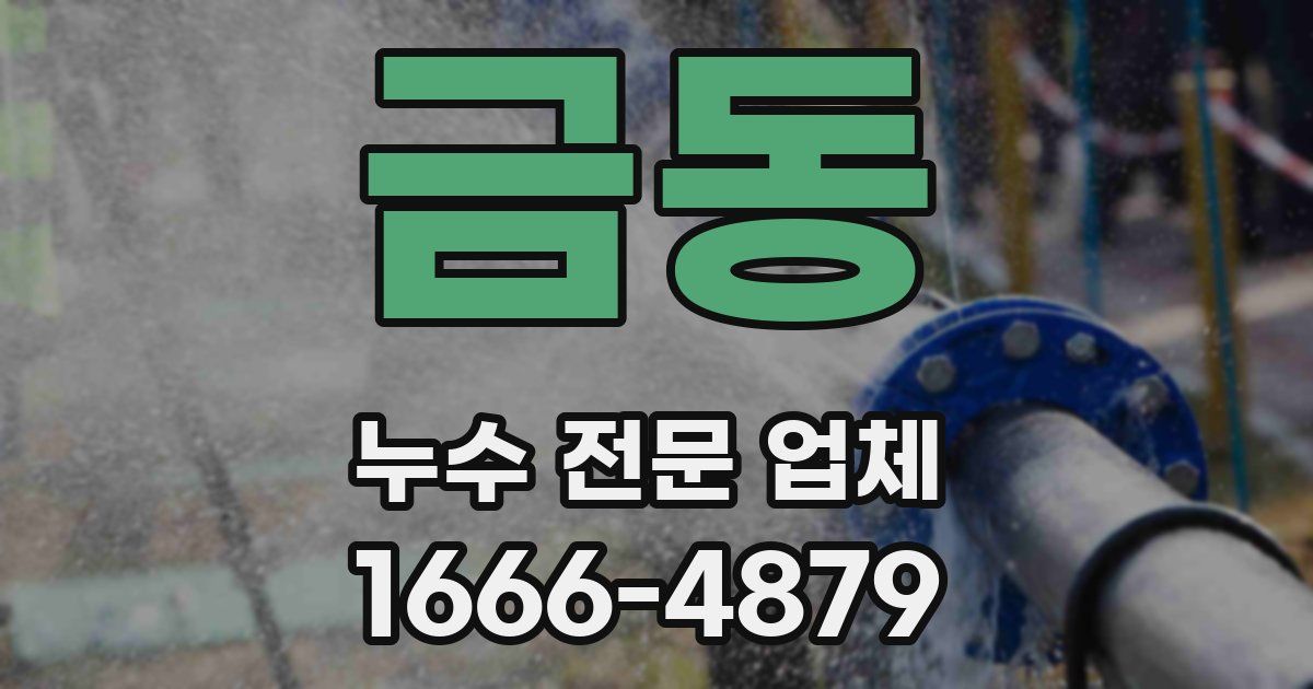 금동 누수 전문 업체