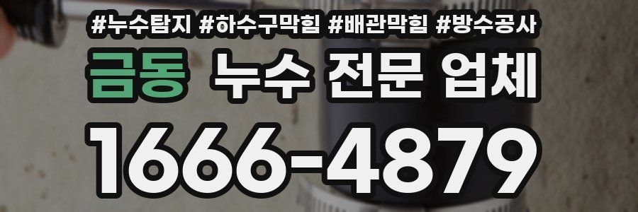 금동 누수 전문 업체
