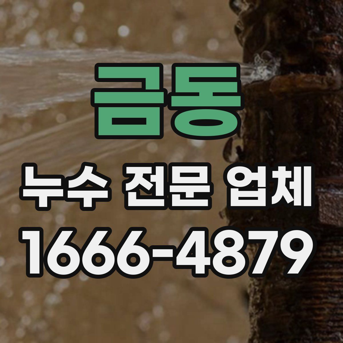 금동 누수 전문 업체