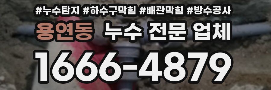 용연동 누수 전문 업체